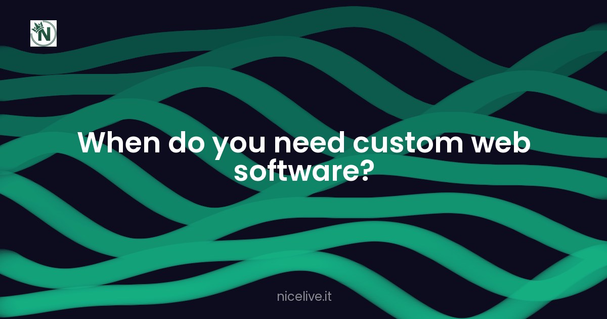 When do you need custom web software?